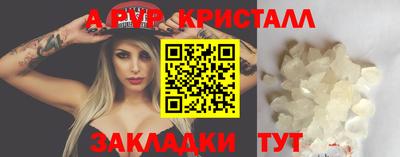 дмт Ярославль